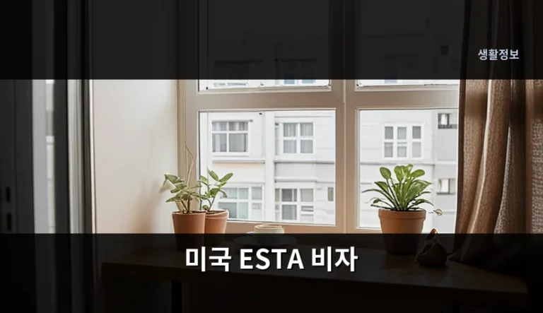 미국 ESTA 비자 신청 방법 및 주의사항 가이드